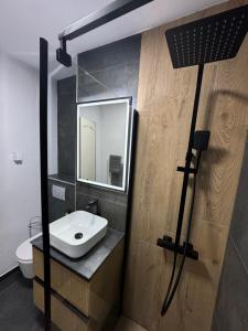 a bathroom with a sink and a mirror at Signature Residence in Mediaş