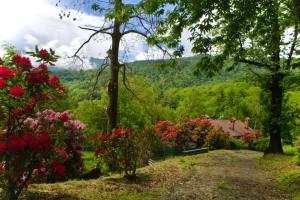 a garden with flowers and a house in the background at CascinaMirta in Andorno Micca