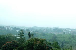 Příroda nedaleko apartmánu