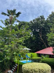 Gallery image of Belle Des Iles in La Digue