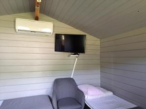 TV a/nebo společenská místnost v ubytování Lapinkylä