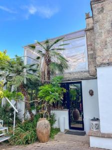 Κήπος έξω από το Torretta holiday house with a salt swimming pool