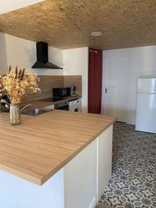 a kitchen with a counter with a sink and a refrigerator at le Vermeil in Saint-Georges-sur-Eure +7 photos