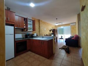 a kitchen with a dog laying on the floor at Apartamento OsMa in Bolnuevo