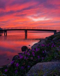 Imagen de la galería de Black Swan Cottage - Unique riverfront living, en Kingston Beach
