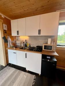 Kuchyň nebo kuchyňský kout v ubytování Luxury off grid house