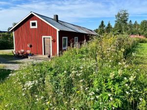 a red barn in a field of flowers at Folkja gård, gästhus i Höga kusten in Noraström