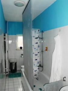 a blue bathroom with a shower and a toilet at Zwischen Stadtpark und Alsterlauf Low Budget in Hamburg +16 photos