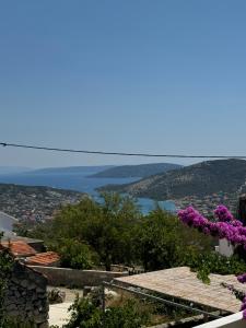 a view of the ocean from a hill with purple flowers at Rural home Basin dvor with jacuzzi in Vinišće