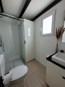 a bathroom with a shower and a toilet and a sink at Waldcamping Brombach in Pleinfeld