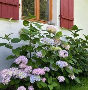 Zahrada ubytování Gîte de la Mésange