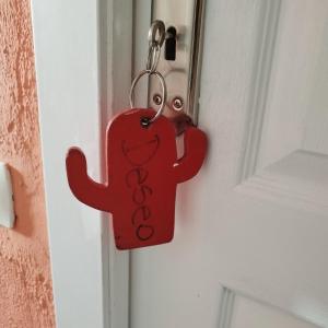 马斯帕洛马斯Casa Mamre的相册照片