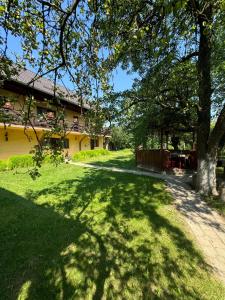 a yard with a tree and a house at Casa Eliza in Ocna Şugatag
