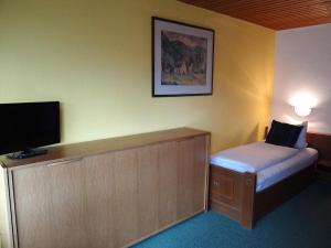 Μια τηλεόραση ή/και κέντρο ψυχαγωγίας στο Alpenhotel Waidmannsheil