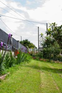 a garden with purple flowers in the grass at Casa Los Naranxales Gijon in Gijón
