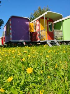 Camping Zeeburg Amsterdam外面的花园
