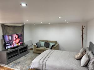Twickenham Stadium Studio電視和／或娛樂中心