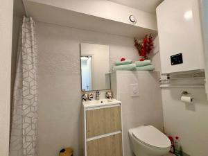a bathroom with a toilet and a sink and a mirror at Le Calypso, studio avec terrasse à 50m de la mer ! in Ploemeur +16 photos