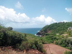Un paisaje natural cerca del departamento