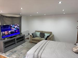 Twickenham Stadium Studio電視和／或娛樂中心