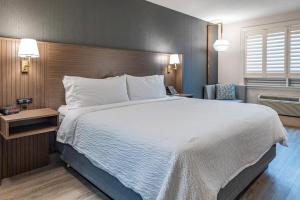 Postel nebo postele na pokoji v ubytování Holiday Inn Hotel & Suites St.Catharines-Niagara by IHG