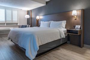Postel nebo postele na pokoji v ubytování Holiday Inn Hotel & Suites St.Catharines-Niagara by IHG