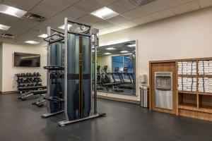 Fitness centrum a/nebo fitness zařízení v ubytování Holiday Inn Hotel & Suites St.Catharines-Niagara by IHG