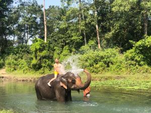 Foto sihtkohas Sauraha asuva majutusasutuse Glampin By Tharu Garden galeriist