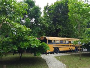 Un autobús escolar amarillo estacionado frente a los árboles. en Nanku Nimbu Casa-Bus equipada cerca de playas, en Sámara