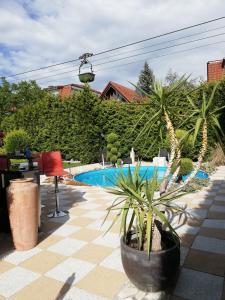 ein Pool mit zwei Palmen im Hof in der Unterkunft Villaci Business Apartments in Leimen