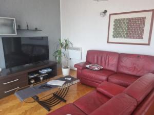 Televízia a/alebo spoločenská miestnosť v ubytovaní New comfortable app Dora
