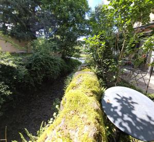 Zahrada ubytování RiverRun