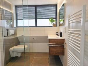 a bathroom with a toilet and a glass shower at Vakantiehuis DO52 centrum Domburg in Domburg +15 photos