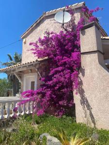 Zahrada ubytování Chambre à Marseillan Plage