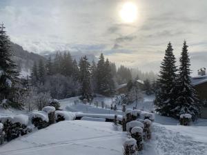 Magnifique chalet appartement à Villars, vue sur les alpes v zimě