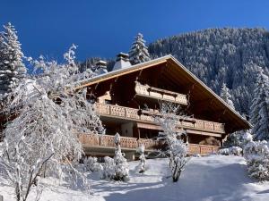Magnifique chalet appartement à Villars, vue sur les alpes v zimě