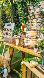 a table with a cake and potted plants on it at Vila Bašić Vlašić MEDO Spa Apartman Sauna & Jacuzzi in Vlasic +55 photos