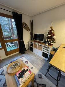een woonkamer met een kerstboom en een televisie bij Le Solaret in Bourg-Saint-Maurice