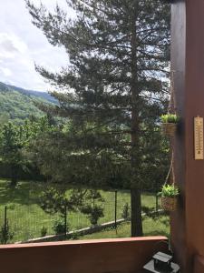 een raam met uitzicht op een boom bij Le Solaret in Bourg-Saint-Maurice