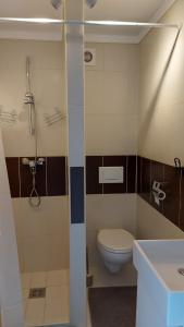 Un baño con inodoro, ducha y lavabo. en Zöldfa Apartmanház - Tetőtér, en Eger