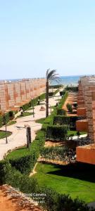 a garden with a palm tree and a building at New venisia Resort in Ain Sokhna