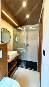 un bagno con doccia e lavandino di Hostdomus- Bear Suite a Sestriere