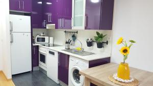 a kitchen with purple cabinets and a washer and dryer at Secretos de Teruel VUT-TE-24-0075 in Teruel