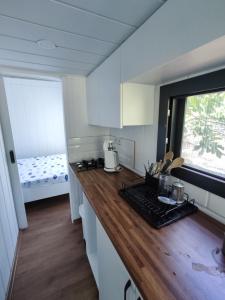 Kuchyň nebo kuchyňský kout v ubytování Dikili ZeyTiny House