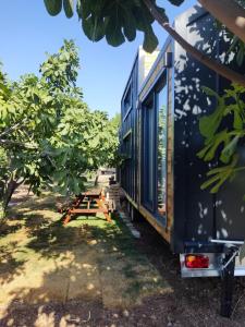 Zahrada ubytování Dikili ZeyTiny House