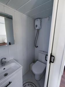 Koupelna v ubytování Dikili ZeyTiny House