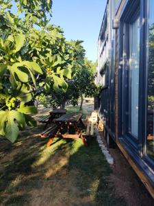 Zahrada ubytování Dikili ZeyTiny House