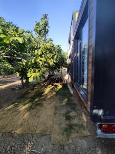 Fotografie z fotogalerie ubytování Dikili ZeyTiny House v destinaci Dikili