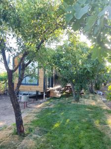 Zahrada ubytování Dikili ZeyTiny House