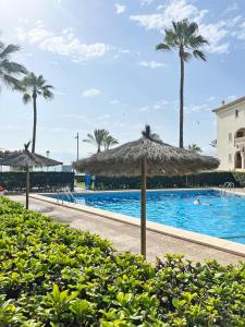 a swimming pool with umbrellas and palm trees at Playa y montaña 1ª linea Piscina Parking AC in El Campello